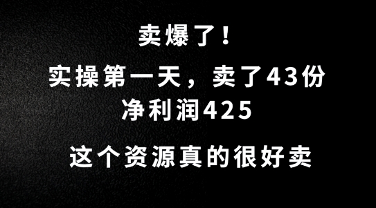 这个资源，需求很大，实操第一天卖了43份，净利润425【揭秘】-谷进海小站