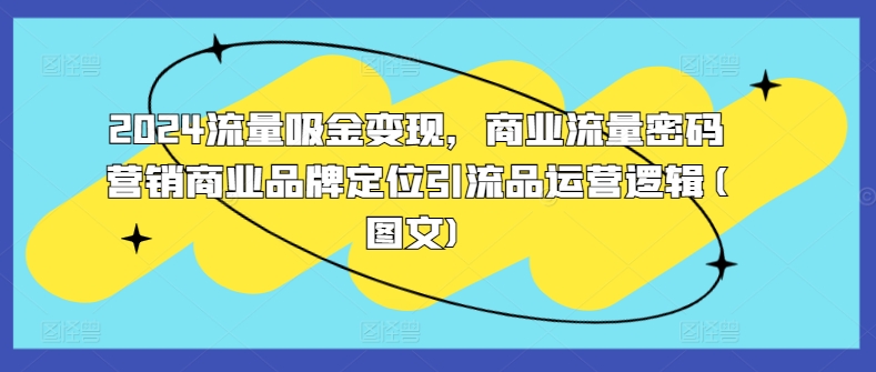 2024流量吸金变现，商业流量密码营销商业品牌定位引流品运营逻辑(图文)-谷进海小站