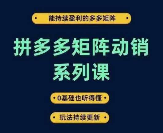 拼多多矩阵动销系列课，能持续盈利的多多矩阵，0基础也听得懂，玩法持续更新-谷进海小站