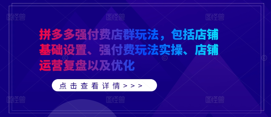 拼多多强付费店群玩法，包括店铺基础设置、强付费玩法实操、店铺运营复盘以及优化-谷进海小站