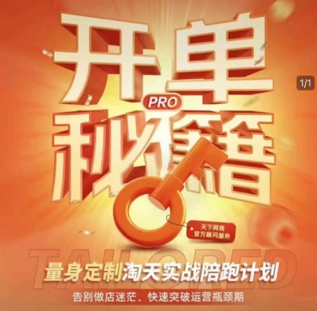 淘宝开单秘籍PRO，量身定制淘天实战陪跑计划，告别做店迷茫、快速突破运营瓶颈期(更新6月)-谷进海小站
