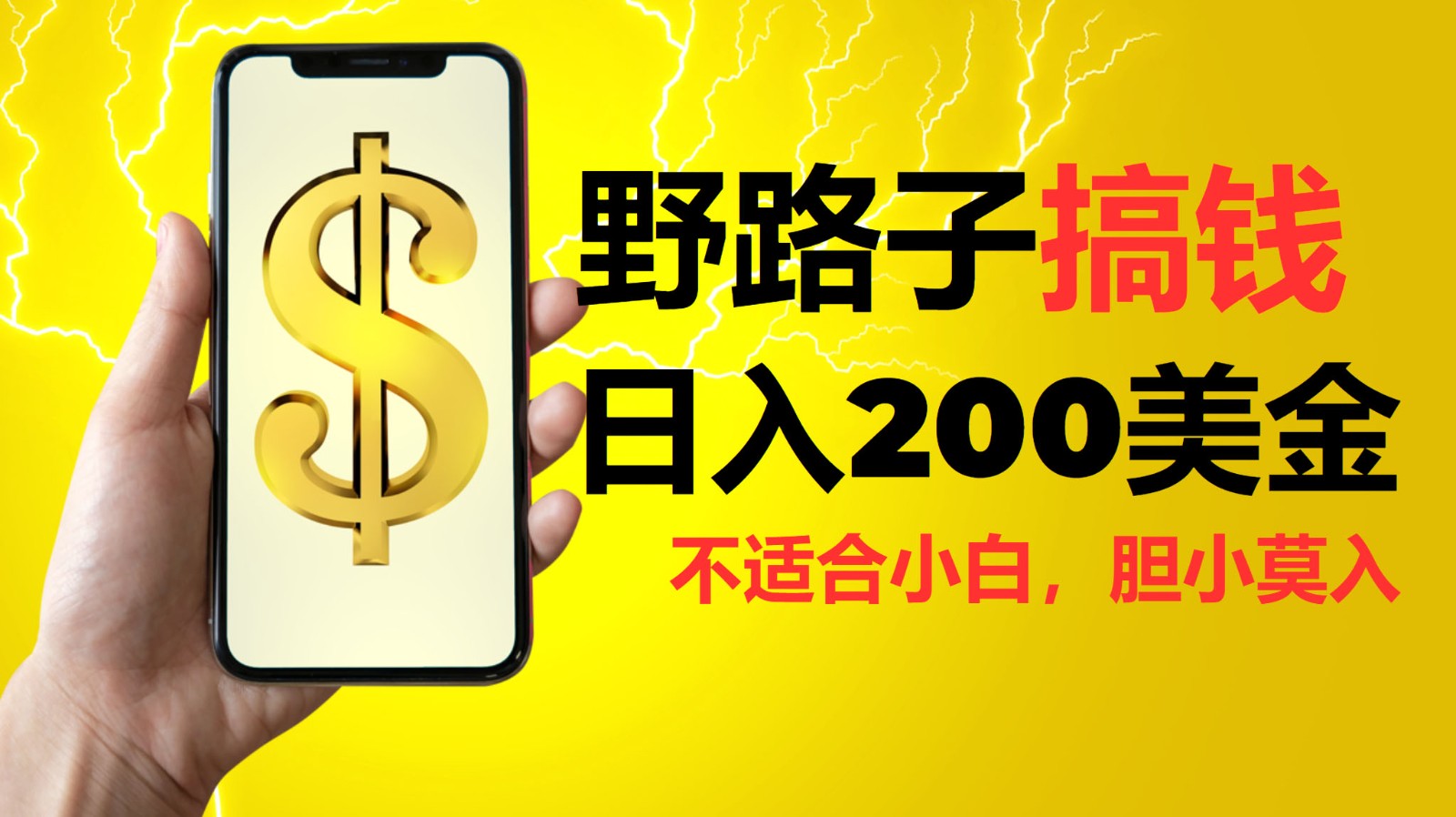 挂机野路子搞钱，日入200美金，路子很野，小白莫入-谷进海小站