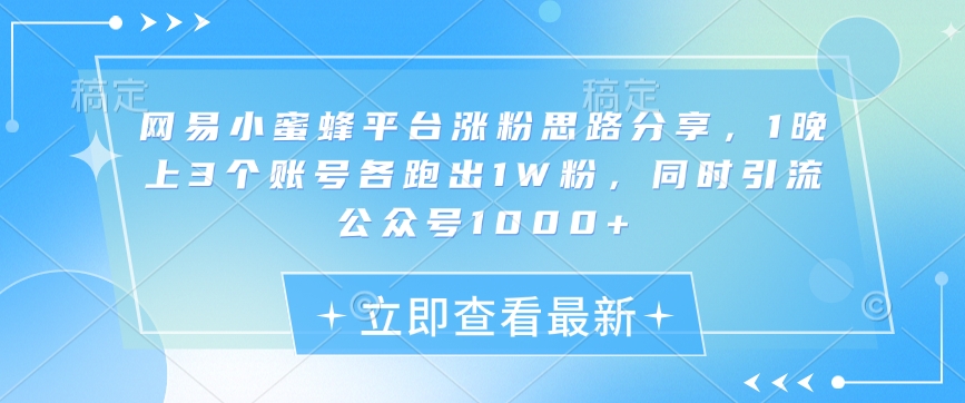 网易小蜜蜂平台涨粉思路分享，1晚上3个账号各跑出1W粉，同时引流公众号1000+-谷进海小站