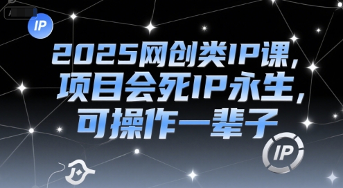 2025网创类IP课，项目会死IP永生，可操作一辈子-谷进海小站
