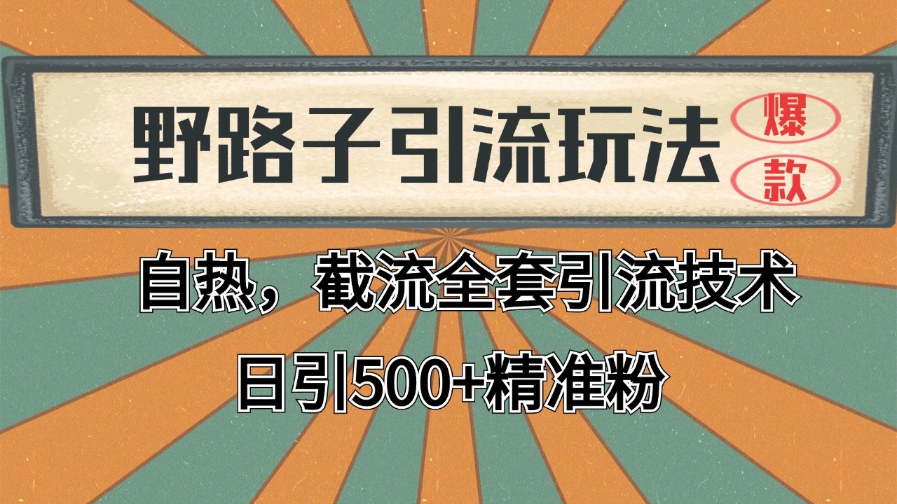2024首发野路子引流玩法截流自热全平台打法，全自动引流【日引2000+精准客户】-谷进海小站