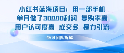 小红书蓝海项目，一部手机单月做了3W利润，小白也能月入过1W用户认可度高成交多-谷进海小站