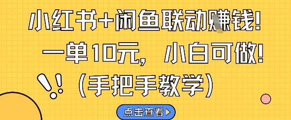 小红书+闲鱼联动挣钱，一单10元，小白可做-谷进海小站