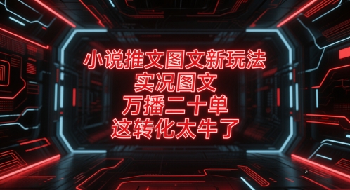 小说推文图文新玩法，实况图文，万播二十单，这转化太牛了！-谷进海小站