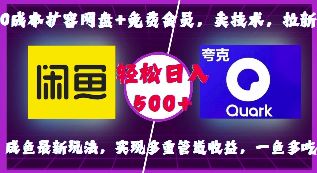 0成本扩容网盘+免费会员，卖技术，拉新，咸鱼最新玩法，实现多重管道收益，一鱼多吃，轻松日入500+-谷进海小站