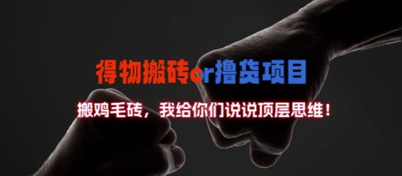 得物搬砖撸货项目?掰下数据，我给你们说说顶层思维【揭秘】-谷进海小站