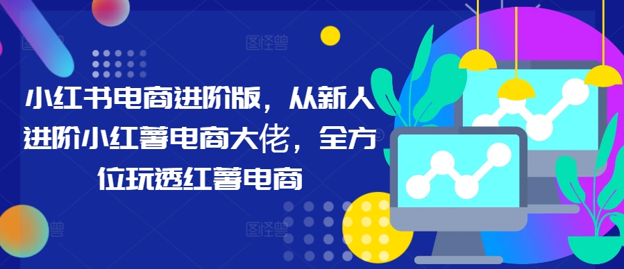 小红书电商进阶版，从新人进阶小红薯电商大佬，全方位玩透红薯电商-谷进海小站