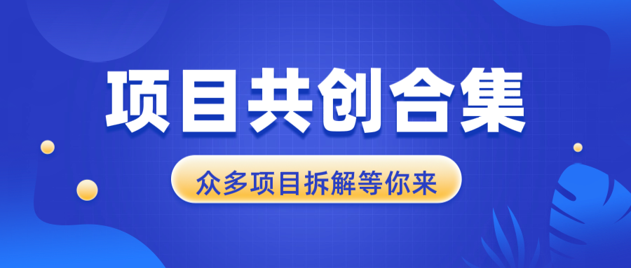项目共创合集，从0-1全过程拆解，让你迅速找到适合自已的项目-谷进海小站
