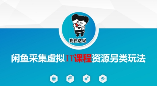 闲鱼采集虚拟IT课程资源另类玩法，干货满满-谷进海小站