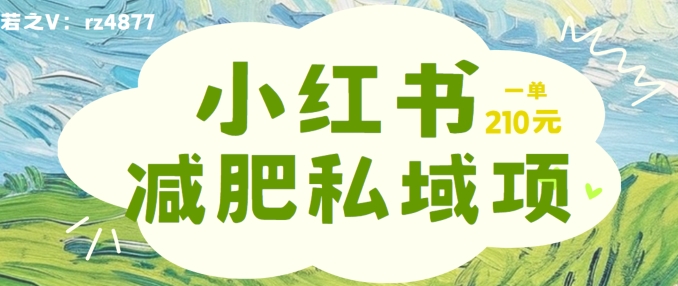 小红书减肥粉，私域变现项目，一单就达210元，小白也能轻松上手【揭秘】-谷进海小站