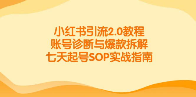 小红书引流2.0教程，账号诊断与爆款拆解，七天起号SOP实战指南-谷进海小站