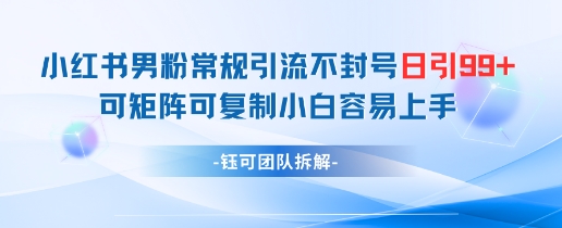 小红书男粉常规引流不封号日引99+变现简单 可矩阵可复制小白容易上手-谷进海小站