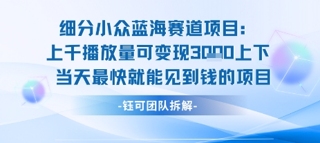 小众蓝海赛道项目：当天变现1k+适合新手操作 +适合长期玩-谷进海小站