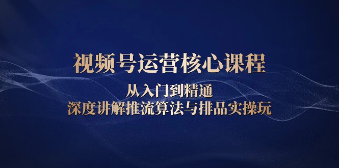 视频号运营核心课程，从入门到精通，深度讲解推流算法与排品实操玩-谷进海小站