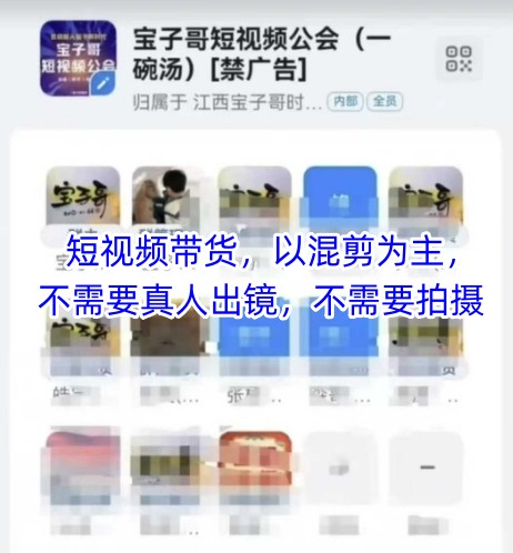 宝子哥头部团队短视频带货，以混剪为主，不需要真人出镜，不需要拍摄【更新】-谷进海小站