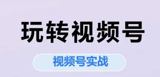 玩转视频号，视频号实战系列课-谷进海小站