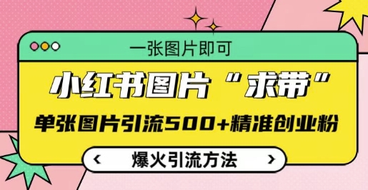 小红书图片‘求带’爆火引流法，单张图片引流500+精准创业粉【揭秘】-谷进海小站