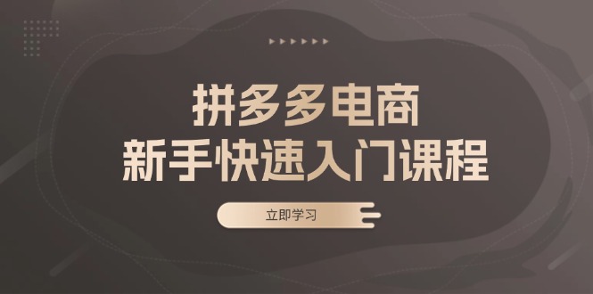 拼多多电商新手快速入门课程：涵盖基础、实战与选款，助力小白轻松上手-谷进海小站