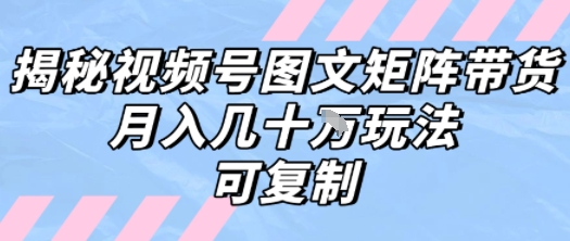 解密视频号图文矩阵带货，月入几个W的打法，可复制-谷进海小站