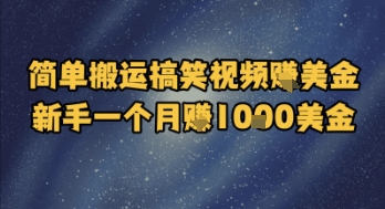 简单搬运搞笑视频挣美金，新手一个月入1k美金-谷进海小站